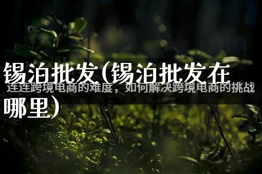 锡泊批发(锡泊批发在哪里)_https://www.rzcpcj.com_开网店_第1张