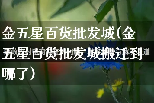 金五星百货批发城(金五星百货批发城搬迁到哪了)_https://www.rzcpcj.com_淘宝运营_第1张