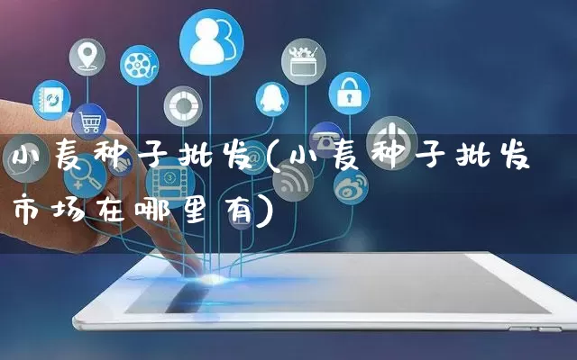 小麦种子批发(小麦种子批发市场在哪里有)_https://www.rzcpcj.com_代运营_第1张