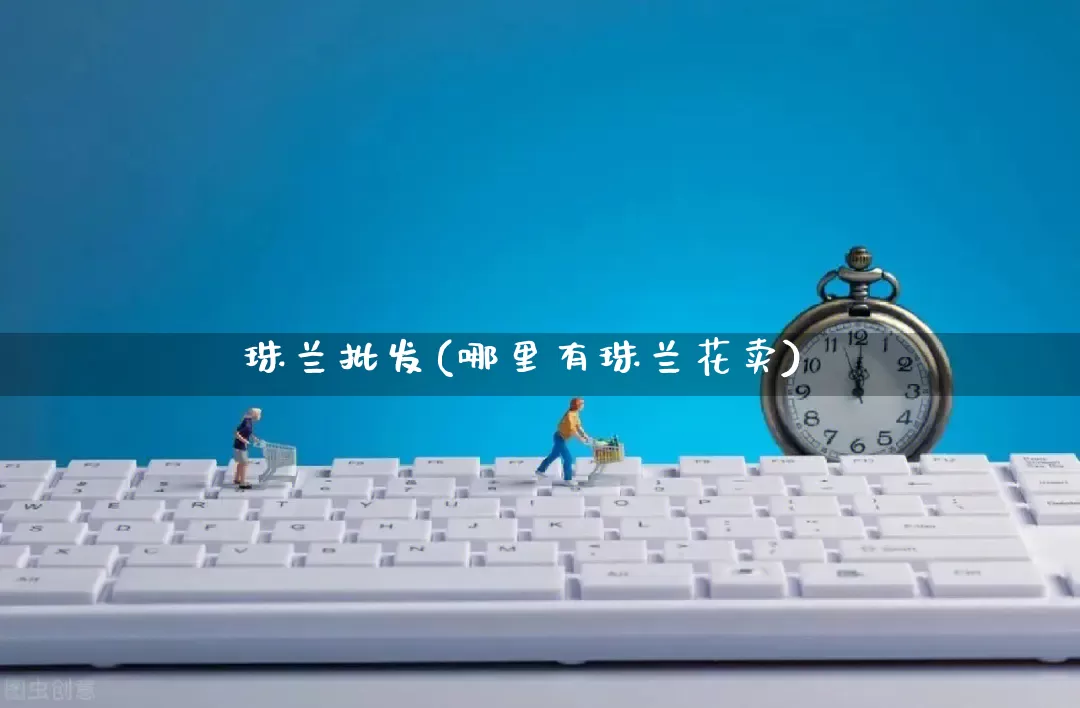 珠兰批发(哪里有珠兰花卖)_https://www.rzcpcj.com_直通车_第1张