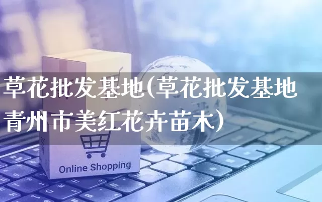 草花批发基地(草花批发基地青州市美红花卉苗木)_https://www.rzcpcj.com_开网店_第1张