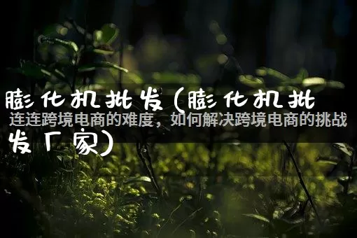 膨化机批发(膨化机批发厂家)_https://www.rzcpcj.com_代运营_第1张