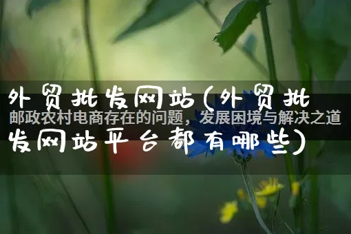 外贸批发网站(外贸批发网站平台都有哪些)_https://www.rzcpcj.com_抖音快手_第1张