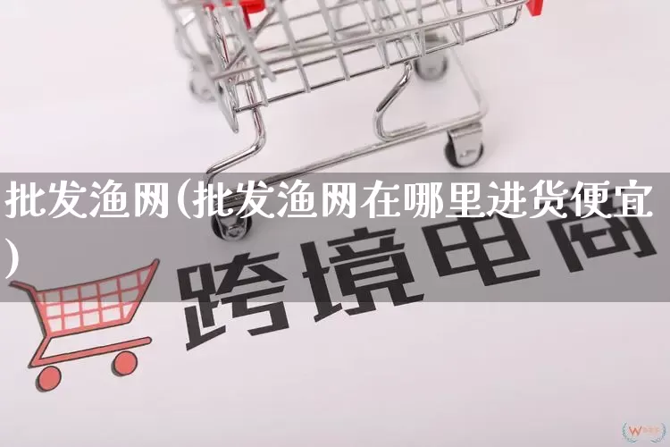 批发渔网(批发渔网在哪里进货便宜)_https://www.rzcpcj.com_代运营_第1张