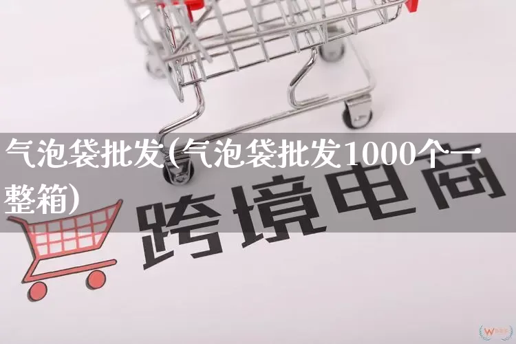 气泡袋批发(气泡袋批发1000个一整箱)_https://www.rzcpcj.com_代运营_第1张