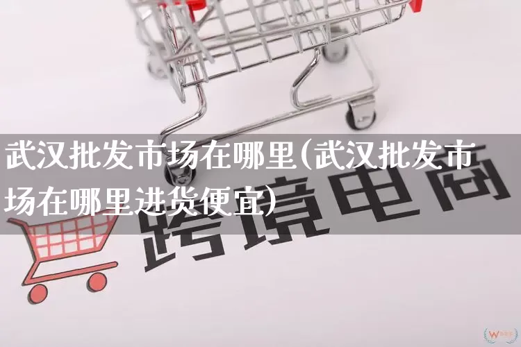 武汉批发市场在哪里(武汉批发市场在哪里进货便宜)_https://www.rzcpcj.com_直通车_第1张