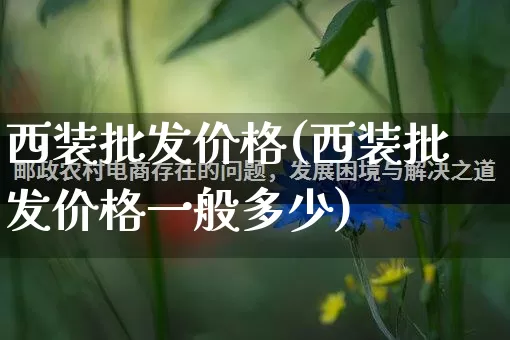 西装批发价格(西装批发价格一般多少)_https://www.rzcpcj.com_直通车_第1张