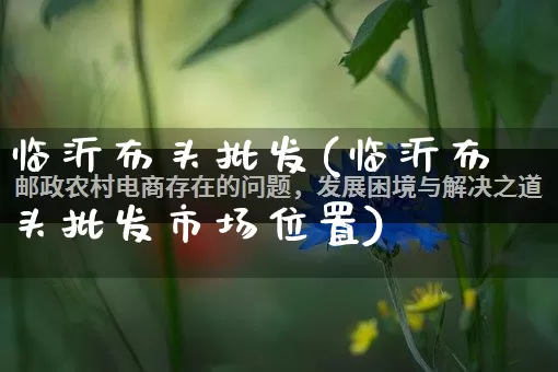 临沂布头批发(临沂布头批发市场位置)_https://www.rzcpcj.com_直通车_第1张