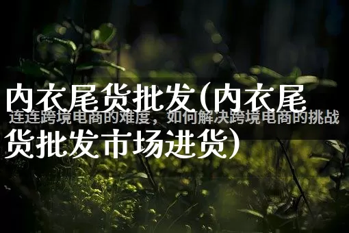 内衣尾货批发(内衣尾货批发市场进货)_https://www.rzcpcj.com_开网店_第1张