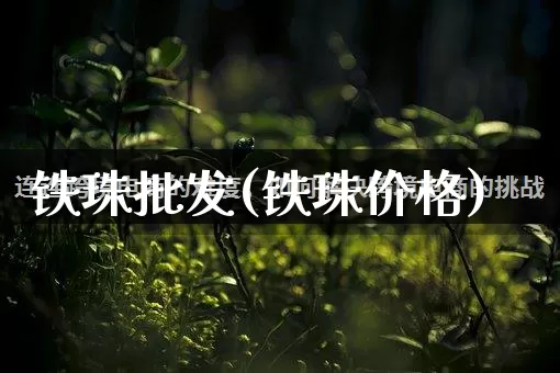 铁珠批发(铁珠价格)_https://www.rzcpcj.com_淘宝运营_第1张