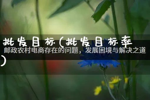 批发目标(批发目标率)_https://www.rzcpcj.com_开网店_第1张