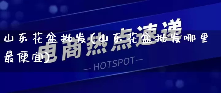 山东花盆批发(山东花盆批发哪里最便宜)_https://www.rzcpcj.com_天猫运营_第1张