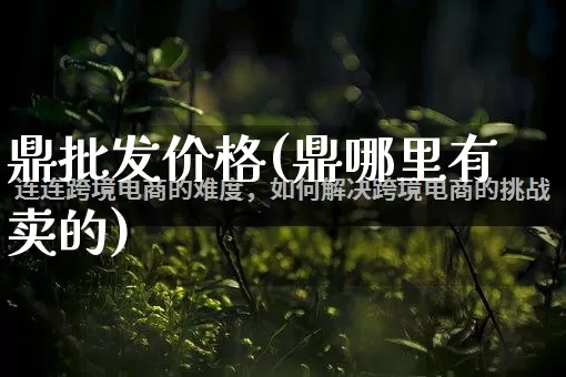 鼎批发价格(鼎哪里有卖的)_直通车_第1张_电商运营网 鼎批发价格(鼎哪里有卖的)_https://www.rzcpcj.com_直通车_第1张