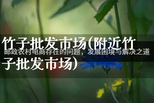 竹子批发市场(附近竹子批发市场)_https://www.rzcpcj.com_天猫运营_第1张
