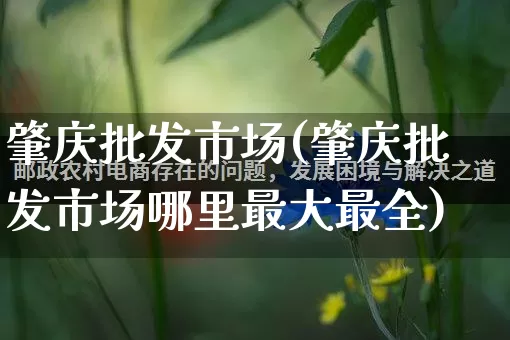 肇庆批发市场(肇庆批发市场哪里最大最全)_https://www.rzcpcj.com_淘宝运营_第1张