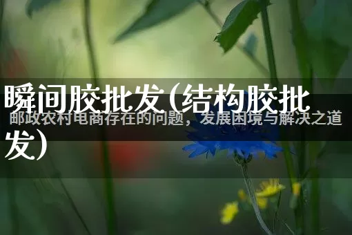 瞬间胶批发(结构胶批发)_https://www.rzcpcj.com_代运营_第1张