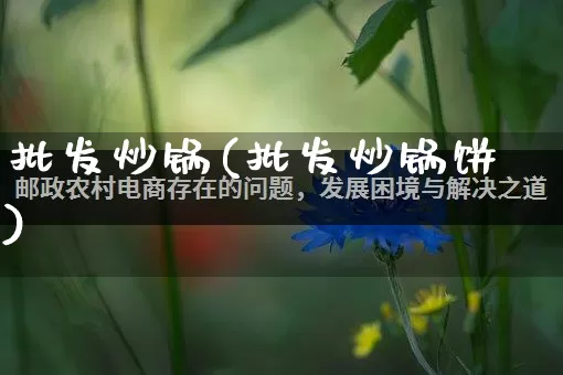 批发炒锅(批发炒锅饼)_https://www.rzcpcj.com_直通车_第1张