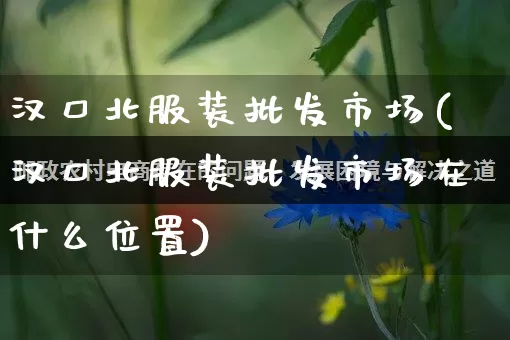汉口北服装批发市场(汉口北服装批发市场在什么位置)_https://www.rzcpcj.com_淘宝运营_第1张