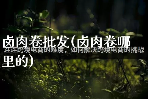 卤肉卷批发(卤肉卷哪里的)_https://www.rzcpcj.com_抖音快手_第1张