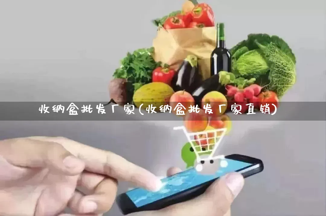 收纳盒批发厂家(收纳盒批发厂家直销)_淘宝运营_第1张_电商运营网 收纳盒批发厂家(收纳盒批发厂家直销)_https://www.rzcpcj.com_淘宝运营_第1张