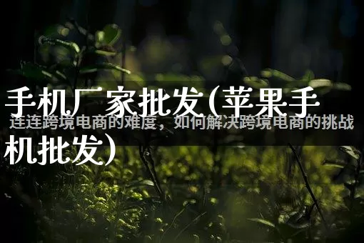 手机厂家批发(苹果手机批发)_https://www.rzcpcj.com_开网店_第1张