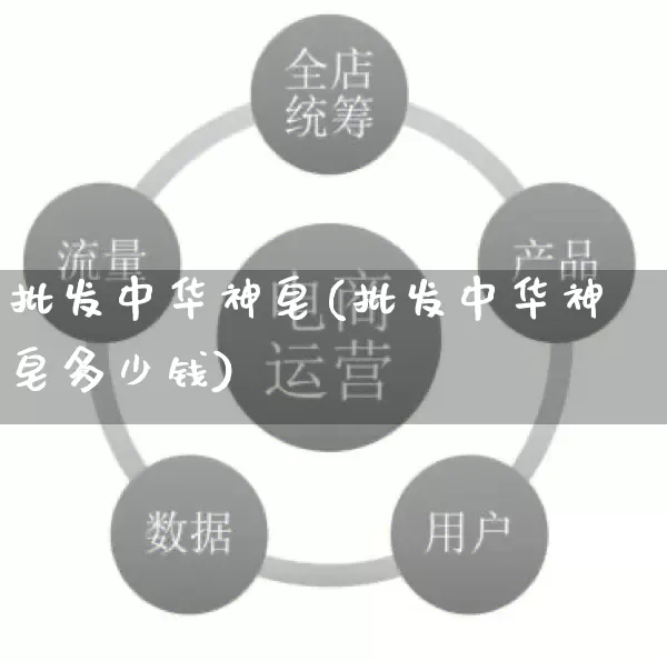 批发中华神皂(批发中华神皂多少钱)_https://www.rzcpcj.com_代运营_第1张