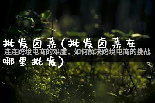 批发卤菜(批发卤菜在哪里批发)_https://www.rzcpcj.com_直通车_第1张