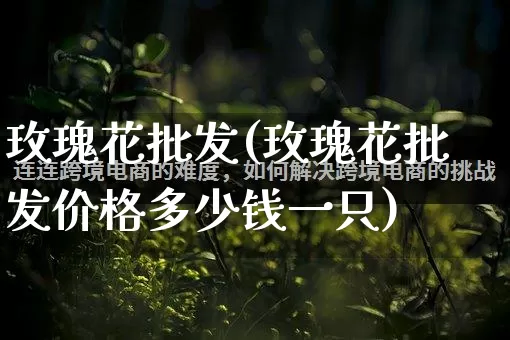 玫瑰花批发(玫瑰花批发价格多少钱一只)_https://www.rzcpcj.com_开网店_第1张