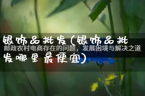 银饰品批发(银饰品批发哪里最便宜)_https://www.rzcpcj.com_抖音快手_第1张
