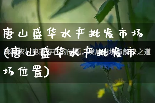唐山盛华水产批发市场(唐山盛华水产批发市场位置)_https://www.rzcpcj.com_天猫运营_第1张