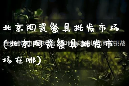 北京陶瓷餐具批发市场(北京陶瓷餐具批发市场在哪)_https://www.rzcpcj.com_天猫运营_第1张