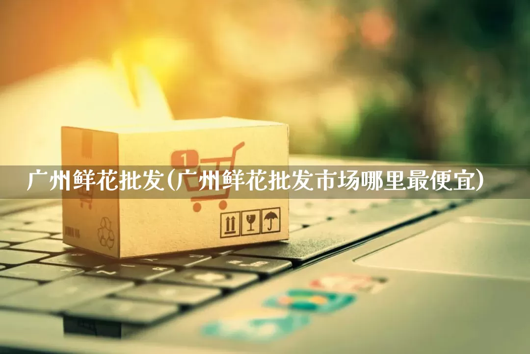 广州鲜花批发(广州鲜花批发市场哪里最便宜)_https://www.rzcpcj.com_开网店_第1张