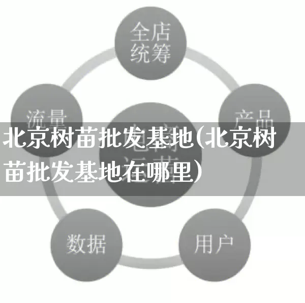北京树苗批发基地(北京树苗批发基地在哪里)_https://www.rzcpcj.com_抖音快手_第1张