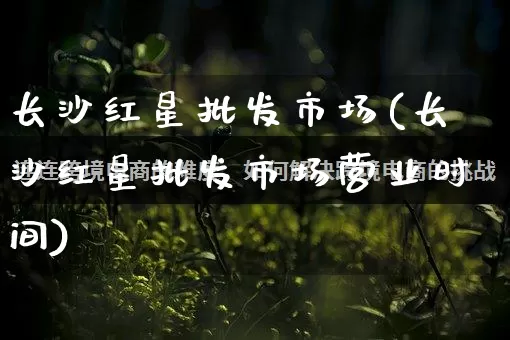 长沙红星批发市场(长沙红星批发市场营业时间)_https://www.rzcpcj.com_开网店_第1张