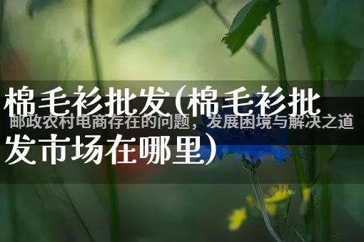 棉毛衫批发(棉毛衫批发市场在哪里)_https://www.rzcpcj.com_代运营_第1张