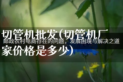 切管机批发(切管机厂家价格是多少)_https://www.rzcpcj.com_天猫运营_第1张