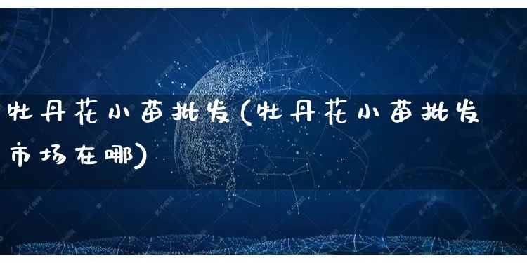 牡丹花小苗批发(牡丹花小苗批发市场在哪)_https://www.rzcpcj.com_直通车_第1张