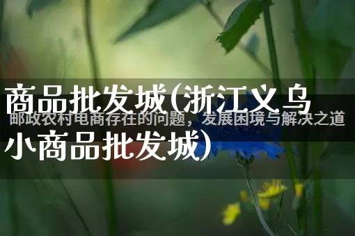 商品批发城(浙江义乌小商品批发城)_https://www.rzcpcj.com_抖音快手_第1张