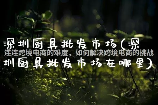 深圳厨具批发市场(深圳厨具批发市场在哪里)_https://www.rzcpcj.com_代运营_第1张