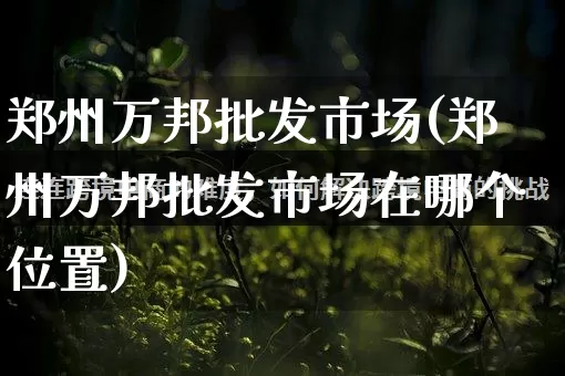 郑州万邦批发市场(郑州万邦批发市场在哪个位置)_https://www.rzcpcj.com_抖音快手_第1张