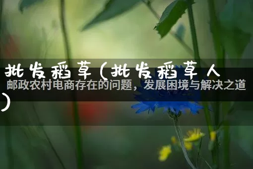 批发稻草(批发稻草人)_https://www.rzcpcj.com_代运营_第1张