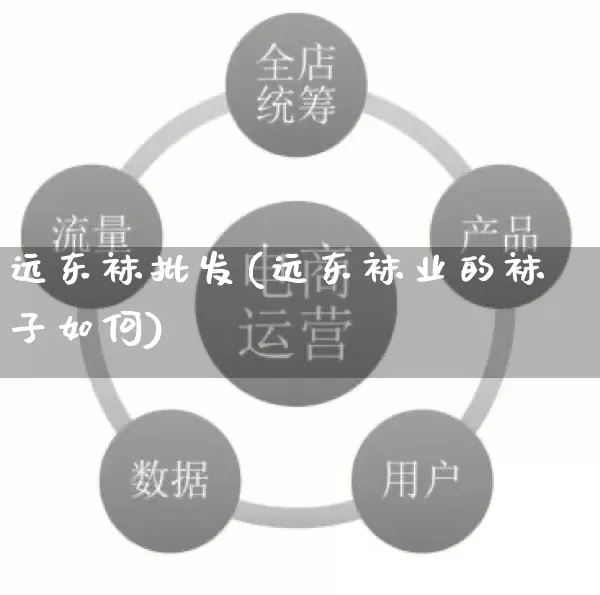 远东袜批发(远东袜业的袜子如何)_https://www.rzcpcj.com_代运营_第1张