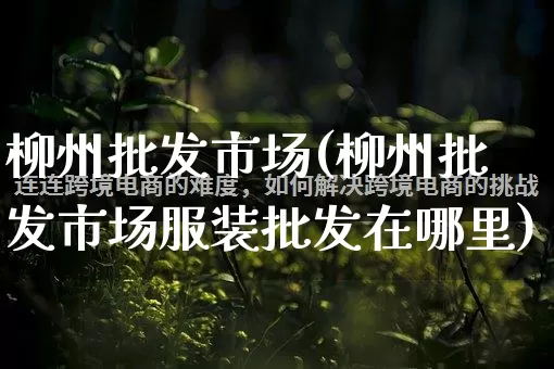 柳州批发市场(柳州批发市场服装批发在哪里)_https://www.rzcpcj.com_淘宝运营_第1张