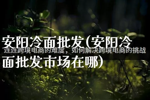 安阳冷面批发(安阳冷面批发市场在哪)_https://www.rzcpcj.com_开网店_第1张
