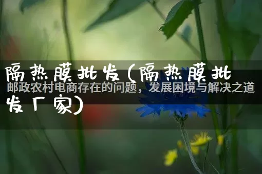 隔热膜批发(隔热膜批发厂家)_https://www.rzcpcj.com_天猫运营_第1张
