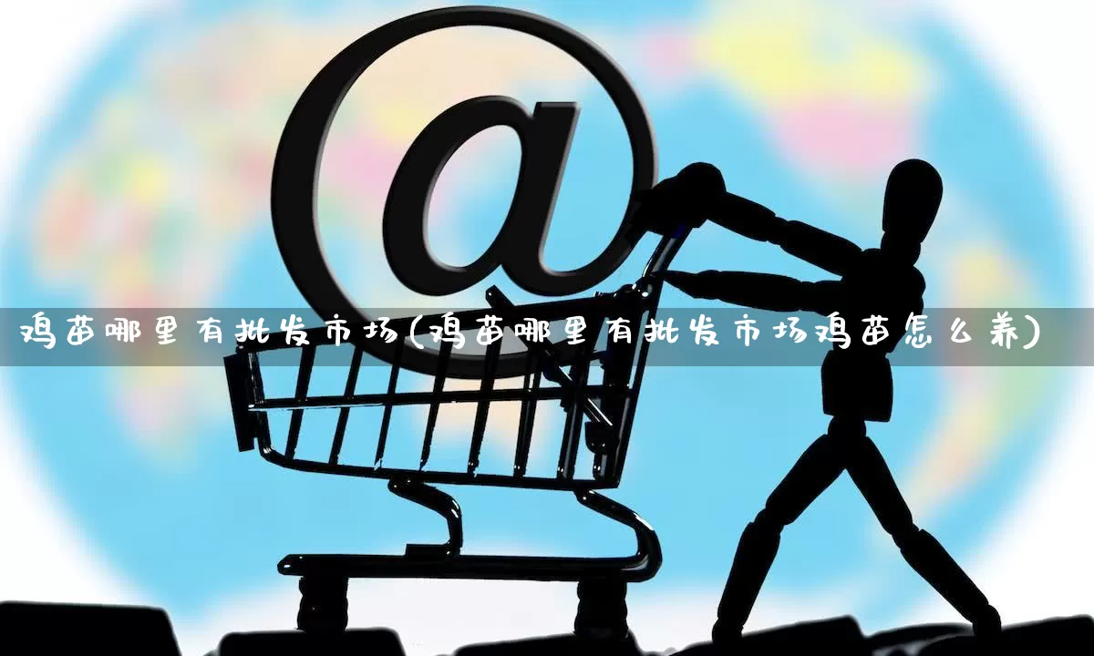 鸡苗哪里有批发市场(鸡苗哪里有批发市场鸡苗怎么养)_https://www.rzcpcj.com_淘宝运营_第1张