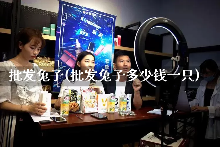 批发兔子(批发兔子多少钱一只)_https://www.rzcpcj.com_天猫运营_第1张
