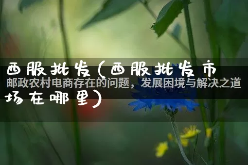 西服批发(西服批发市场在哪里)_https://www.rzcpcj.com_直通车_第1张