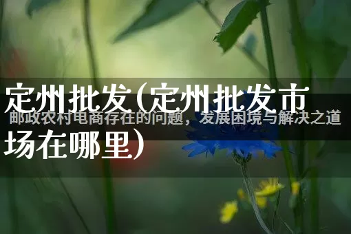 定州批发(定州批发市场在哪里)_https://www.rzcpcj.com_直通车_第1张