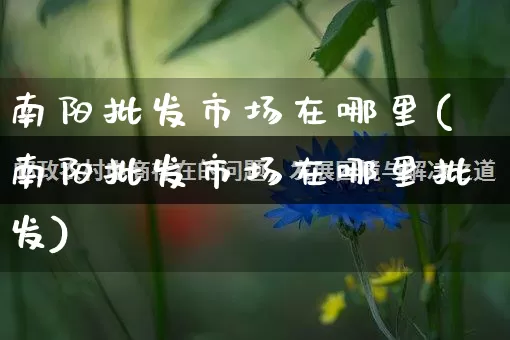南阳批发市场在哪里(南阳批发市场在哪里批发)_https://www.rzcpcj.com_天猫运营_第1张